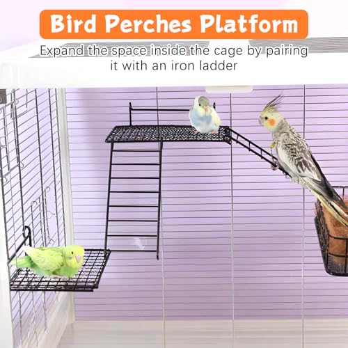BNOSDM Stainless Steel Grid Platform for Parakeet 4 PCS Bird Perches Platform Parrot Stand with Climbing Ladder Bird Cage Accessories for Small to Large Birds (L)