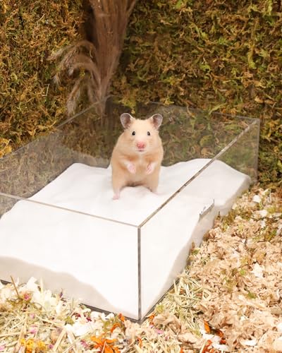 Niteangel Hamster Desert Bath Sand: 2.5lb/40oz No-Dust Bath & Easy to Clump | Helps Odor Control & Remove Excess Grease - Potty Litter Sand for Hamster Chinchillas Gerbil Mice Degu or Other Small Pets - color: White Sand, size: 2.5LB/40oz