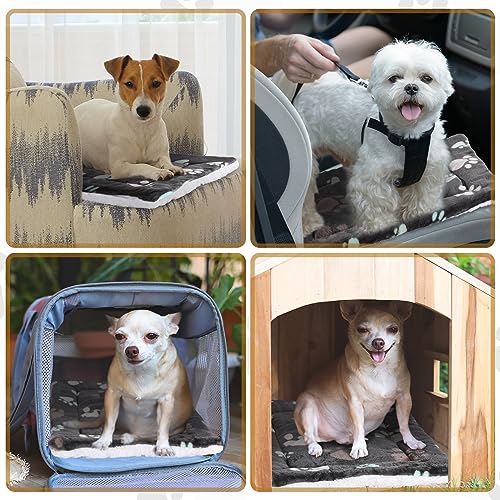 4 Pack Ultra Soft Dog Cat Bed Mat Small Animal Guinea Pig Bed with Cute Print Reversible Fleece Dog Crate Kennel Pad Cozy Washable Thickened Hamster Pet Beds Mat(13 x 19 Inches,Black) - color: Black, size: 13 x 19 Inches