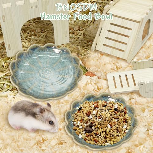 BNOSDM Shallow Ceramic Hamster Food Dish 2 Pcs Small Animals Food Bowl Sunflower Feeding Dishes for Gerbils Mice Rats 4.5in (Dark Green) - color: Dark Green