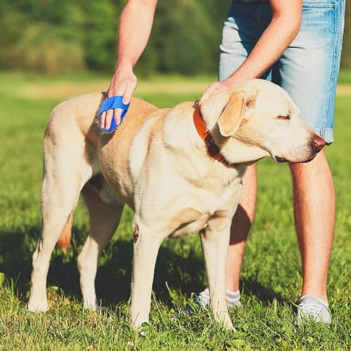 Dog Bath Brush, 2Pack Pet Grooming Brush Shedding Comb Shampoo Brush - color: Blue+green