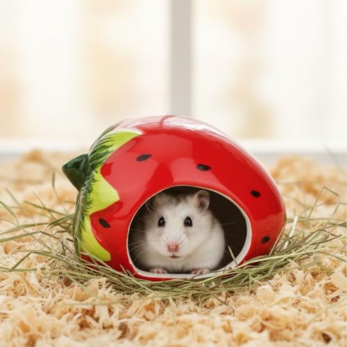 Hypeety Ceramic Hamster Hideout Decor Cool Bed Bath House for All Season | 4.7x3.5x3.5'' ceramic hide, cooling and chew-proof critter bath, easy to clean, for dwarf hamsters/rats/mice, red strawberry - color: Red/Strawberry