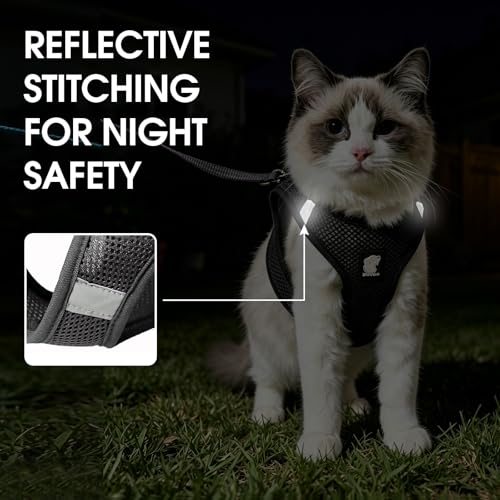 Cat Harness and Leash Escape Proof, Soft Breathable Mesh Kitty Walking Vest, Adjustable Step-in Kitten Harness Set with Reflective Strip for Small Cats - color: Black, size: Small