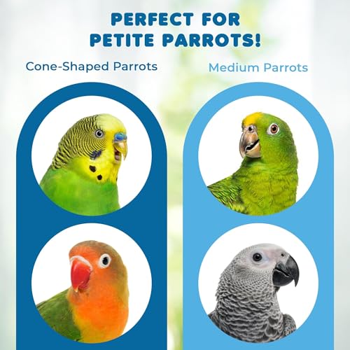 SunGrow Wooden Bird Ladder Bridge, Hanging Exercise Toy, Bird Playground Cage Accessory, Natural Wood, Edible Dye, Interactive Small Bird Toy, Parakeet, Cockatiel, Conure, Budgie Climbing Ladder