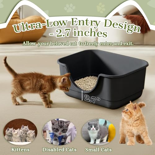 Low Entry Small Litter Box for Kittens, Kitty Plastic Litter Boxes, Open Top, Anti-Splash High Sided Litter Tray Pan for Medium Pets, Puppy, Easy to Clean, 15.7" L*11.8" W*6.7" H (Black) - color: Black-1 Pack