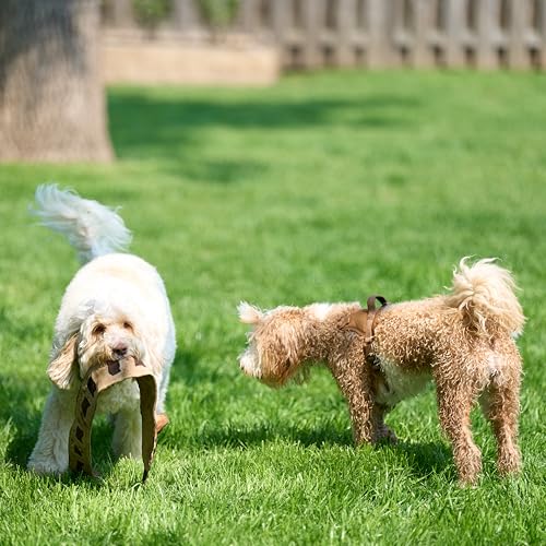 SPOT Skinneeez Leather Snake – 36" Stuffing-Free Dog Toy with Real Leather & 5 Squeakers, Tug Toy for Light to Moderate Chewers, Ideal for Large & XL Dogs - size: 36 Inch