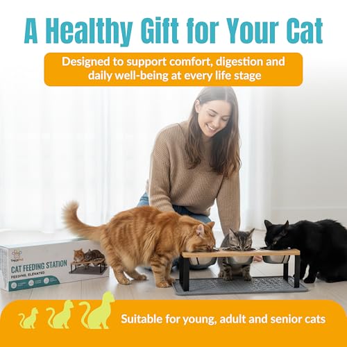 Elevated Cat Food Bowls, 3 Bowl Elevated Cat Feeding Station with Mat | Raised Cat Food Bowls Anti Vomiting,15° Tilted Cat Food Bowls & Elevated Slow Feeder Cat Bowls for healthier meals