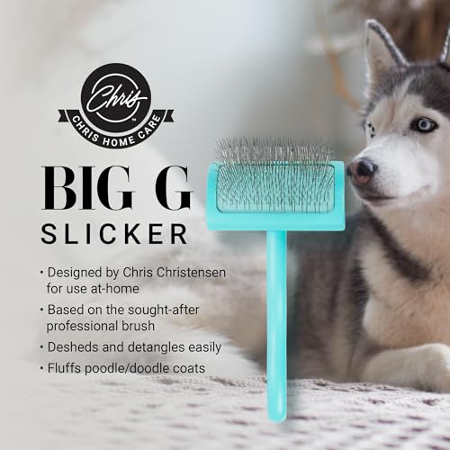 Chris Christensen Big G Dog Slicker Brush for Dogs (Goldendoodles, Labradoodles, Poodles), Groom Like a Professional, Fluff Detangle Style, Saves Time Energy, Teal, Medium - color: Teal, size: Medium