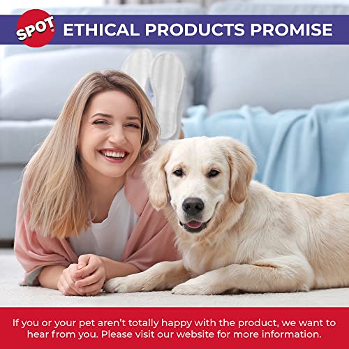 SPOT by Ethical Products – Ceramic Stoneware Pet Bowl for Cats and Small Dogs,Classic Heavy Duty Non Slip Ceramic Cat Dish Dog Bowls for Food and Water - size: 5"