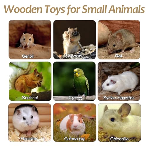 Wooden Hamster Cage Platform Set 9 Pack Wood Juvenile Chinchilla Shelves, Squirrel L-Shape Corner Ledge with Hole Cooling Standing Board, Rat Cage Accessories for Gerbil Small Animal Climbing - size: 9PCS