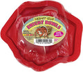 Zoo Med Hermit Crab Bright Bowl, Red - color: Red