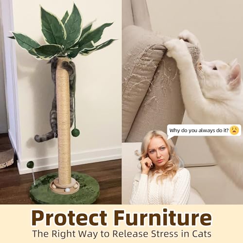 Fantasreen Cat Scratching Post 33'' Tall with Toy, Self Groomer for Indoor Cats - color: Palm Green-33 Inches