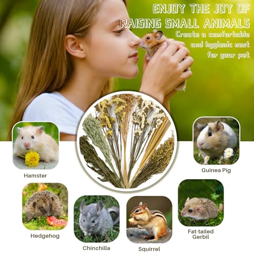 Sukh 47pcs Hamster Sprays - Natural Flower Herb Bedding Forage Mix for Cage | Sprays for Hamster Cage Accessories, Bedding Decor, Habitat Enrichment for Dwarf Syrian Hamsters, Gerbils, Mice, Small Pets