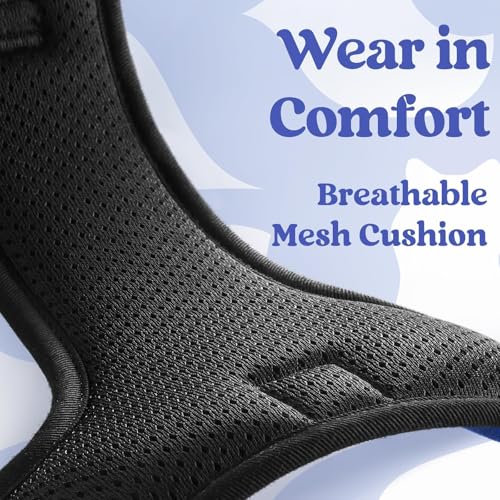 rabbitgoo Dog Harness Medium Sized, Updated Easy On & Off with 3 Buckles | No Pull No Choke, Walking with 2 Clips and Handle, Adjustable Soft Reflective, Blue, Medium - color: Blue, size: Medium