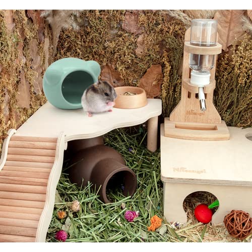 Ceramic Hamster House, Cute Animal Shaped Hamster Cave, Summer Cool Small Animal Hideout Habitat Decor for Dwarf Hamsters (Green) - color: Green