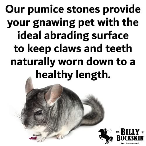 Chew Toys for Chinchilla, Lava Block Toys for Small Pet Animals like Rat, Mice, Bunny, Hamster, Degus, Gerbils, Pumice Blocks, Guinea Pig Toy, Rabbit Chew Toy by Billy Buckskin - Pack of 8 - size: 1 Count (Pack of 8)