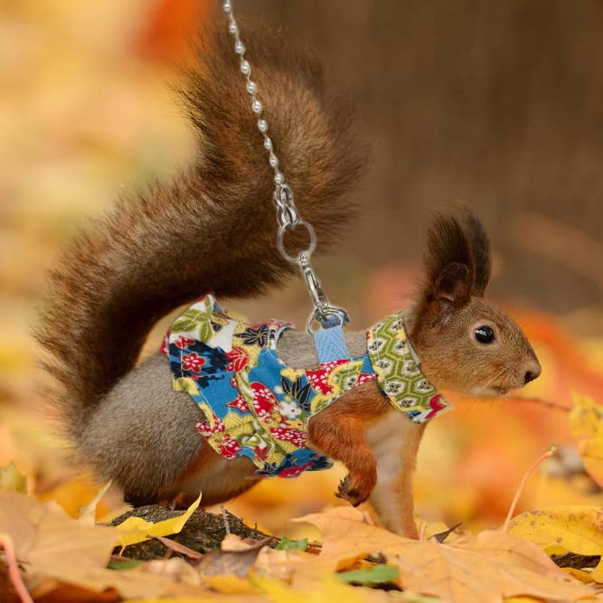 Squirrel Harness and Leash Set, Adjustable Flora Blue Printing, for Ferret, Squirrel, Dwarf Chinchilla, Guinea Pig, Fancy Rat - size: Large