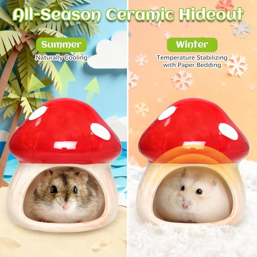 BNOSDM Ceramic Hamster Hideout and Food Bowl Set Cute Mushroom Shape Hamster House and Habitat Cool Hamsters Hide Suitable for Syrian, Mice, Dwarf Hamsters, Gerbils (Red) - color: Red Hideout Duo