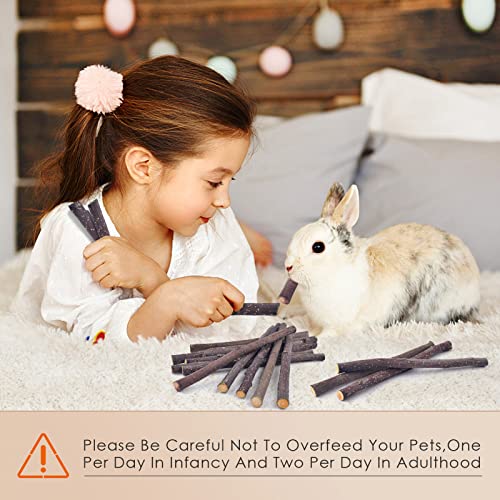 Bissap Apple Sticks for Rabbits, Natural Bunny Chew Toys and Treats for Chinchilla Guinea Pig Hamster Gerbil Small Animals Pet Apple Wood Stick Toys Teeth Grinding (230g/8.1oz) - size: 8.1 Ounce (Pack of 1)
