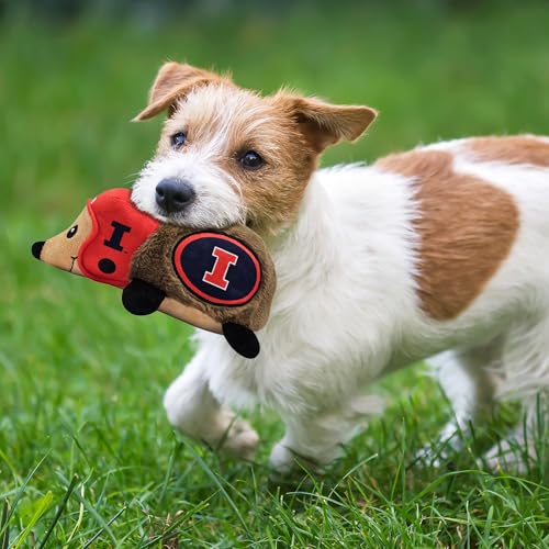 NCAA Illinois Fighting Illini Plush Hedgehog Toy for Dogs & Cats, Cool Soft Pet Toy for Fun and Interactive Play, Dog Chew Toy with Squeaker, Licensed Hot Pet Toy - color: Illinois Illini