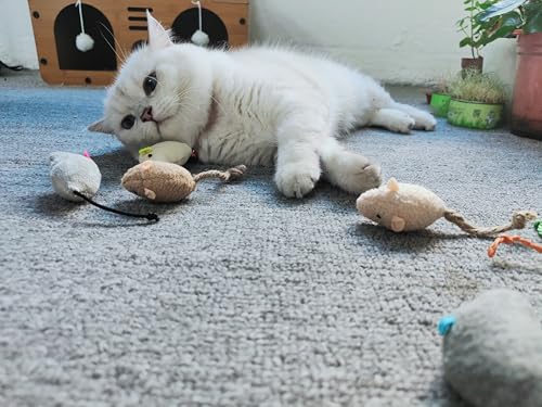 Andiker 8Pcs Cat Mouse Toys, Plush Catnip Toys Self-Play Soft Cat Mice Toy Catch and Bite to Kill Boring Time Interactive Kitten Toy for Indoor Cats and Kitten