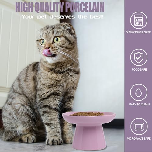 Wide Shallow 6.1" Raised Cat Bowls, Ceramic Elevated Food Plate for Flat Faced Cats and Small Dogs, Porcelain Feeder Bowl, Stress Free, Protect Cat’s Spine, Lavender - color: Lavender-Shallow