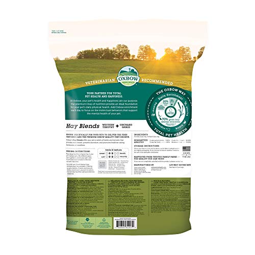 Oxbow Hay Blends, Western Timothy Hay & Orchard Grass, Guinea Pig Food, Small Pet Bunny Supplies, All Natural Grass for Guinea Pig & Rabbit, Oxbow Rabbit Supplies for Bunnies, 90 oz. bag | Oxbow Timothy Hay, Bunny Hay For Rabbits, Guinea Pigs, Bunnies and