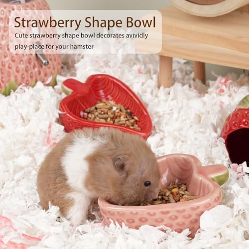 2 Packs Strawberry Ceramic Hamtser Food Bowls Wet&Dry Use(Pink+Red) | Easy to Clean Smooth-Surface Safe Durable-Ceramic Feeding Dish for Small Animals Gerbil Dwarf Hamster Rat Mice Guinea Pig - color: Pink and Red