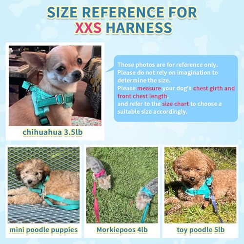 SlowTon No Pull Small Dog Harness and Leash Set with Front Clip | Soft Padded, Neck & Chest Adjustable, Lightweight, Anti-Twist, Puppy Vest Harness Pet Lead Combo for Small Medium Dog, TL XXS - color: Teal, size: XX-Small