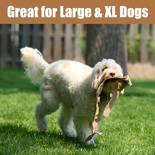 SPOT Skinneeez Leather Snake – 36" Stuffing-Free Dog Toy with Real Leather & 5 Squeakers, Tug Toy for Light to Moderate Chewers, Ideal for Large & XL Dogs - size: 36 Inch