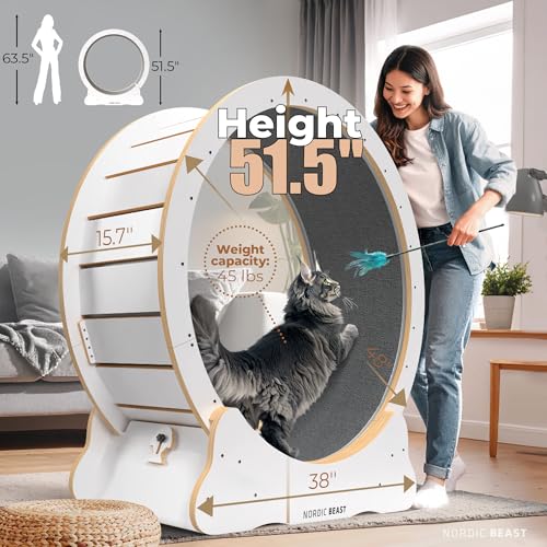 White 48'' XL Cat Wheel - Cat Wheels for Indoor Cats Which Doesn't Negatively Affect Your Cat's Spine - 15.7'' Extra Wide White Exercise Wheel - Fits 2 Cats Side-by-Side, 1-Year Warranty - color: White