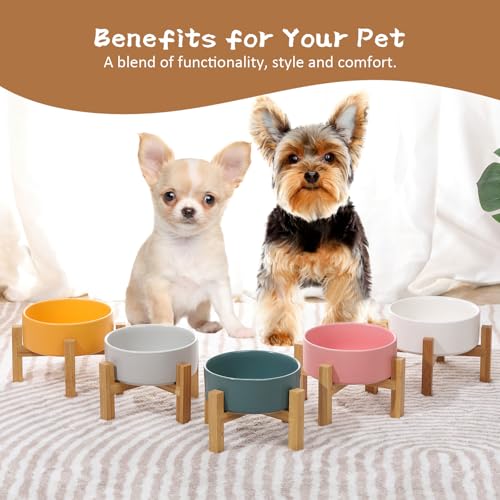 Elevated Ceramic Cat Bowl - Cat Food Bowl with Bamboo Stand - Raised Dog Dish for Puppies - Anti Vomiting, Stress Free - 13.5 oz / 400 ml - White - color: White, size: Small