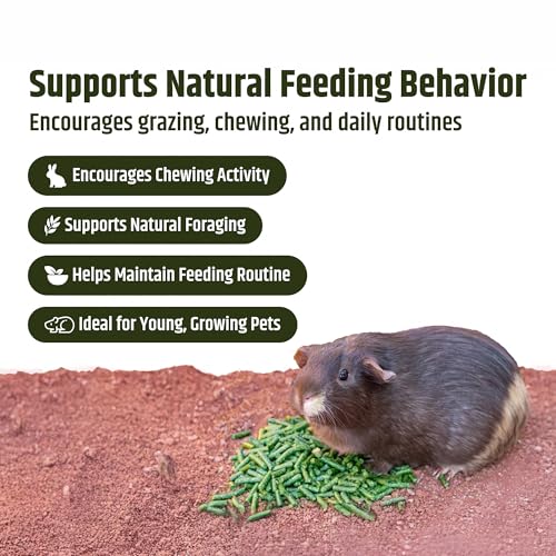 High Desert Delight Alfalfa Pellets for Young Rabbits, Guinea Pigs, 31 oz | Protein Rich Compressed Fiber Formula, Ideal For Growing Kits, Great Calcium Source, Hand Packed Fresh in the USA, Low Dust - size: 1.94 Pound (Pack of 1)