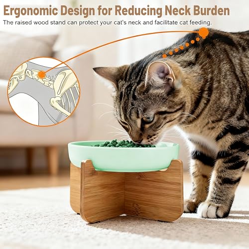 Shallow Elevated Cat Bowls with Bamboo Stand, 6.1 Inch Wide Ceramic Cat Dish Whisker Friendly, 2 Pack Pet Food and Water Plates - color: Mint green 2 pack