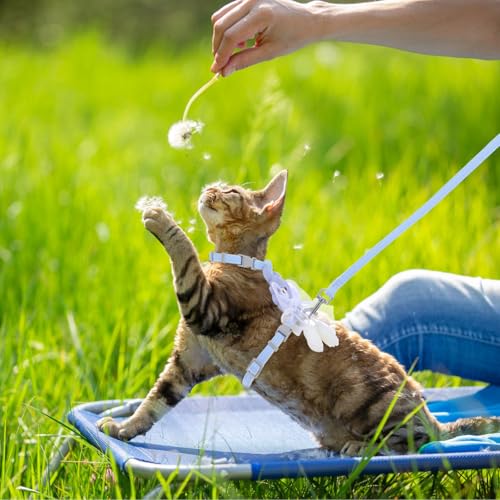 TIESOME Cat Harness and Leash Set, Adjustable Gradient Kitten Harness Escape Proof Harness with Leash for Kitty Outdoor Walking (Ribbon Bear Blue) - color: Ribbon Bear Blue