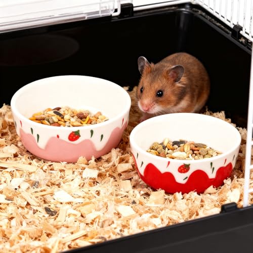 Wontee Hamster Food Bowl 2 Pack Ceramic Food Water Bowl Anti-Tipping for Dwarf Hamsters Gerbil Mice Hedgehog Guinea Pig (Red+Pink) - color: Red+Pink