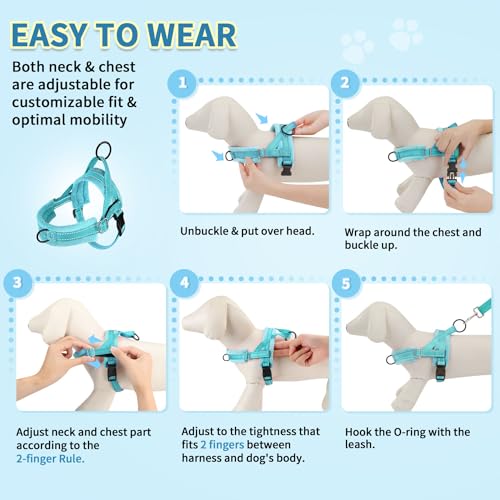 SlowTon No Pull Small Dog Harness and Leash Set with Front Clip | Soft Padded, Neck & Chest Adjustable, Lightweight, Anti-Twist, Puppy Vest Harness Pet Lead Combo for Small Medium Dog, TL XS - color: Teal, size: X-Small