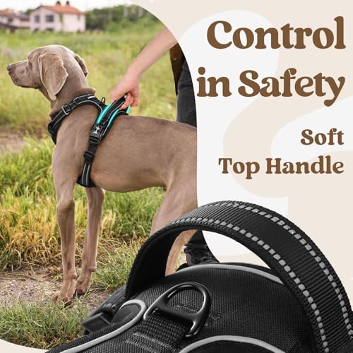 rabbitgoo Dog Harness Small Sized, Updated Easy On & Off with 3 Buckles | No Pull No Choke, Walking with 2 Clips and Handle, Adjustable Soft Reflective, Black, Small - color: Black, size: Small