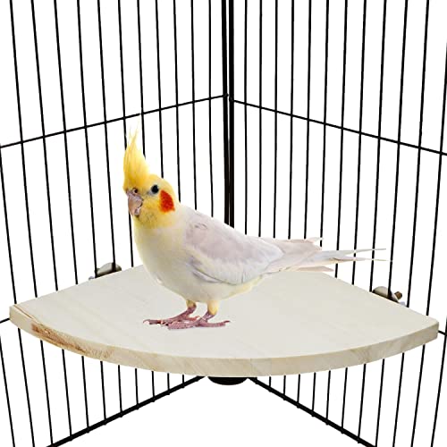 Wontee Bird Perch Stand 2 Pack Wooden Platform Corner Ledge for Budgies Cockatiels Conures African Greys Rats Gerbils Chinchillas Squirrels (L (7.9"x7.9")