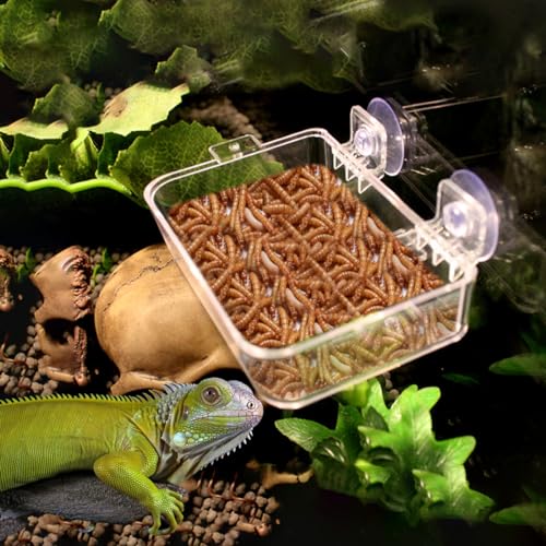 Reptile Suction Cup Feeder 2 Pack, Anti-Escape Food Bowl | for Gecko Lizard Iguana Chameleon Spider Frog Snake, Wall Mount Strong Suction Feeding Dish (White, M) - color: White, size: M
