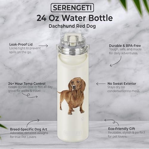 SERENGETI 24 Oz Water Bottle Stainless Steel with Spill Proof Lid - Double walled Vacuum Insulated water flask - Realistic 3D Print of your favorite dog (Dachshund red) - color: Dachshund red