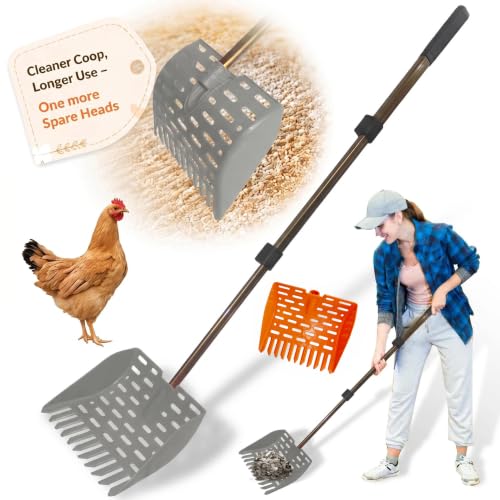 Chicken Dog Poop Scooper & Rake 2-in-1 Telescopic Chicken Litter Scoop for Chicken Coops & Small Farm Animals Sand Sifting Litter Shovel Gray - color: GRAY