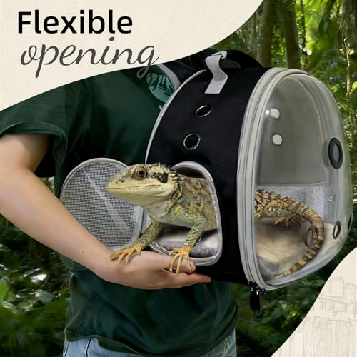 Reptile Travel Backpack Carrier with Reptile Thermometer and Humidity Gauge & Harness Leash Lizard Travel Cage Space Capsule Clear Bubble Window Astronaut Bearded Dragon Bag for Ball Python - color: Black