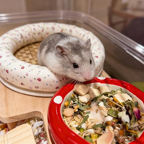 OULIGET Hamster Bed Cooling Mat,Cute Small Animal Bed Soft Sleeping Pad,Breathable Small Pet Self Hot Day Bed Blanket for Rabbit Bunny Hedgehog Hamster Stay Cool