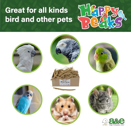 A&E Cage Co Premium French Millet Spray Bird Treat, 6 Piece 3 oz Pack | Grown in France, Natural Spray Millet, Encourages Foraging, For Parakeets, Cockatiels, Finches & Canaries - size: 3 Ounce