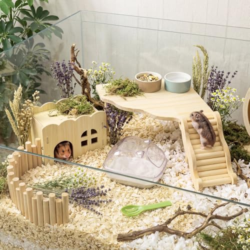 5 Pcs Hamster Platform Wooden Fence Bridge Ladder Climbing Toy Hidden House Exploring Toy with Hamster Bath Container Decor Cage Accessories for Small Animals Dwarf Syrian Gerbils Squirrel(Classic) - style: Classic