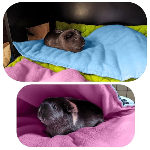 Fleece Playground for Guinea Pig and Rabbit - All in One, It's a Blanket, a Giant Tunnel, a House, a Cushion and a Bed - 55.1 x 27.6 in - Blue | 27.6 x 55.1 in (W x L) - C&C 2x4 - Blue - Washable - For Sleeping On Top and Hiding Underneath - color: Blue,