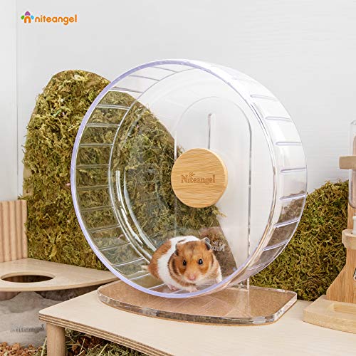 Niteangel Super-Silent Hamster Exercise Wheels: Quiet 10 inch Running Wheel | Can 10.6-13.4" Adjustable Height - No Bend Back Spinner Running for Dwarf Syrian Hamster Gerbils Mice Or Other Small Animal - color: Transparent, size: Medium