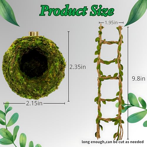 Jumping Spider Accessories - Moss Hideout with Hemp Rope Bridge | Magnetic decor set for jumping spider enclosures. Premium moss hideout & hemp rope bridge expand climbing space.