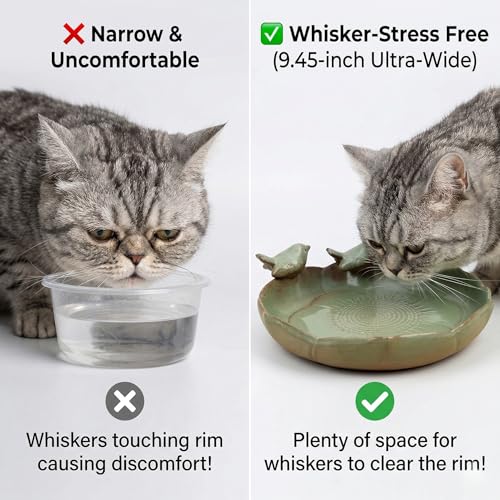 9.5" Glazed Ceramic Nature Sanctuary-Whisker-Safe Oasis for Pets & Birds | Outdoor Bird Bath , Heavy Duty Decorative Shallow Dish for Cats, Small Dogs, Garden Wildlife - Aesthetic Succulent Planter